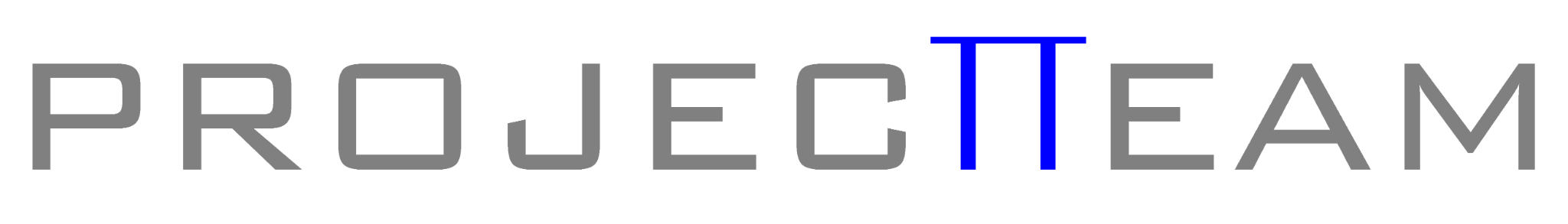 PROJECTTEAM